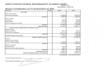BALANÇO CONTABILÍSTICO - 2024